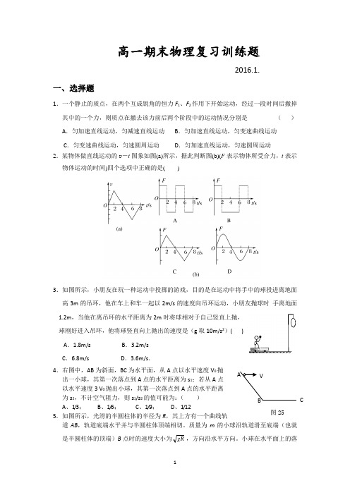 贵州高一上学期物理(新课标)期末训练题(附答案)