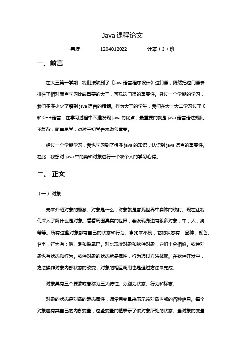 java论文
