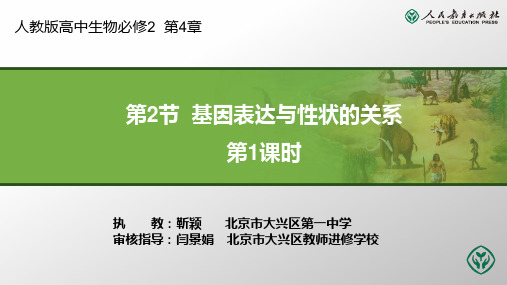 高中生物必修2教学设计 第4章第2节 基因表达与性状的关系(第1课时)