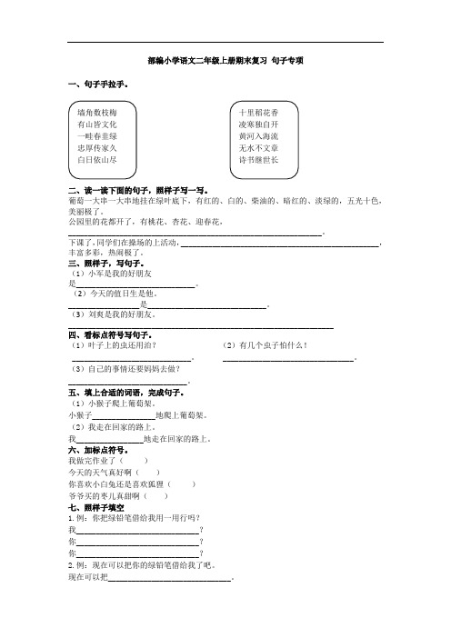 部编小学语文二年级上册期末复习 句子专项含答案