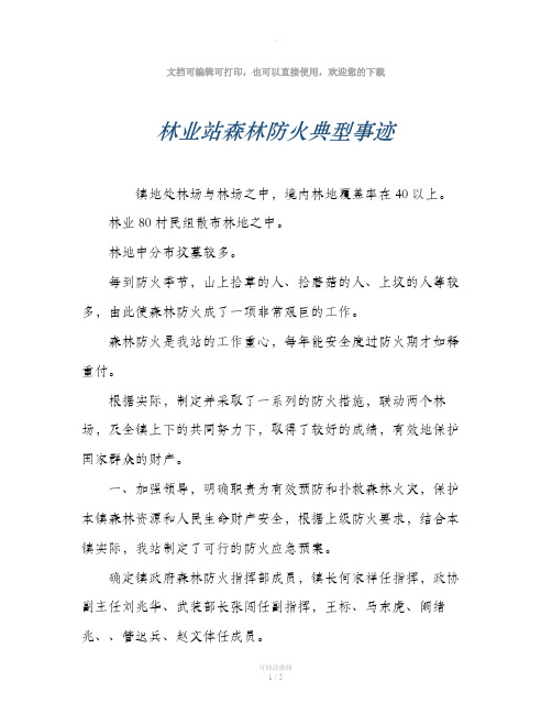 林业站森林防火典型事迹