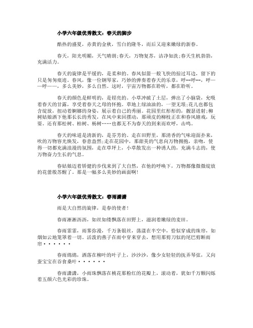 小学六年级优秀散文