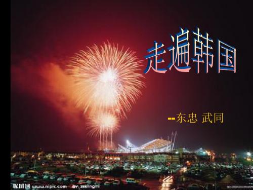 韩国魅力1(1)ppt - 补充性产品,系列