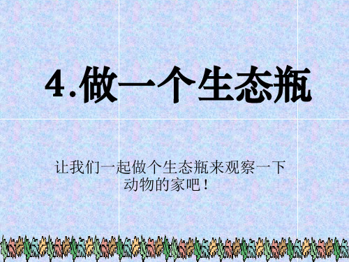 《做一个生态瓶》生物与环境PPT课件5