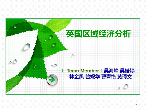 国贸区域经济分析PPT课件