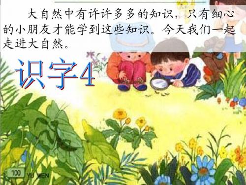 识字4(焦芳)