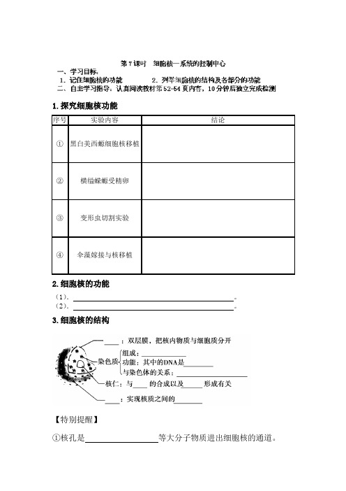 细胞核复习学案