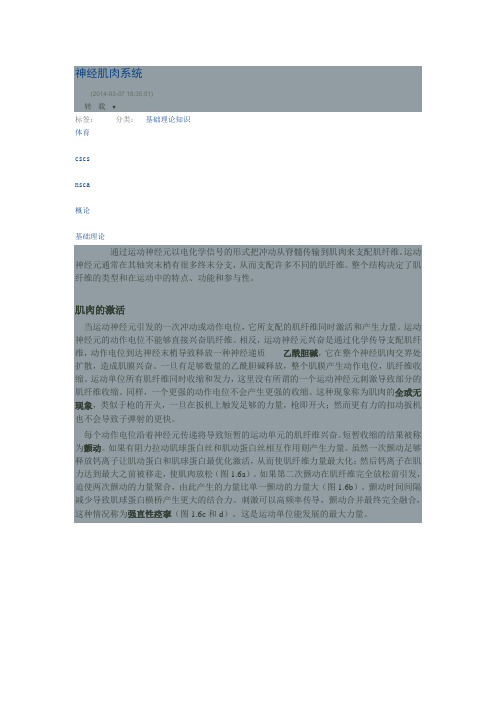 神经肌肉系统
