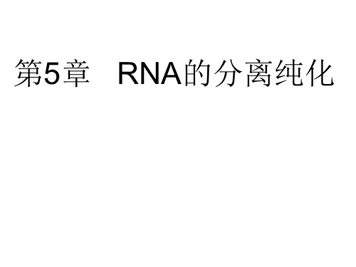 chap05 RNA的分离纯化.ppt