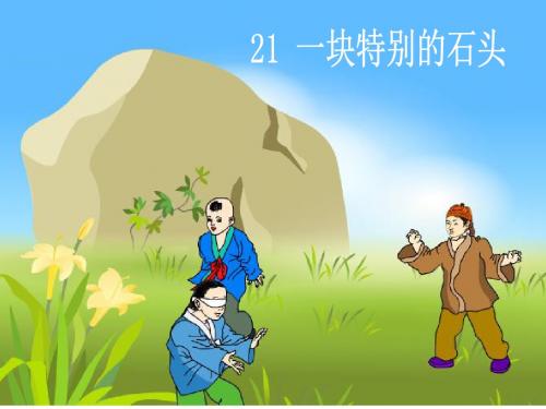 一块特别的石头