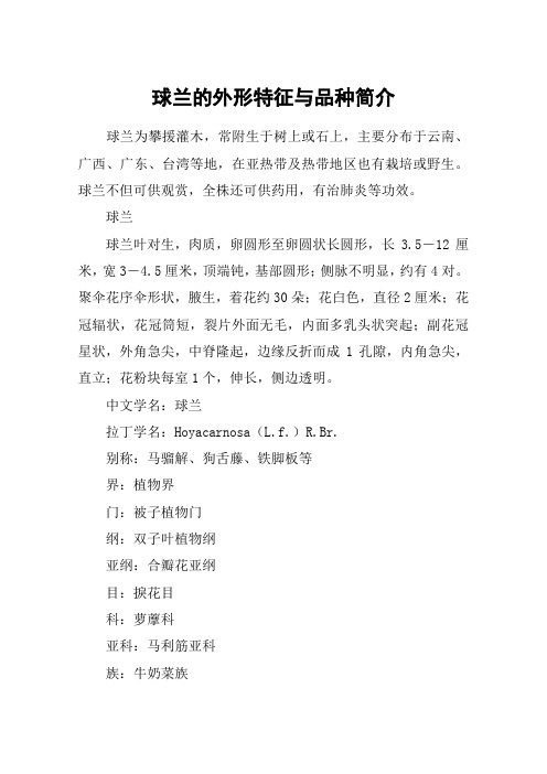 球兰的外形特征与品种简介
