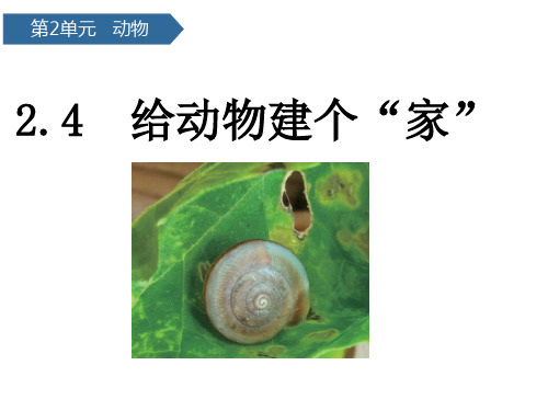 科学课件《给动物建个“家”》ppt课件1