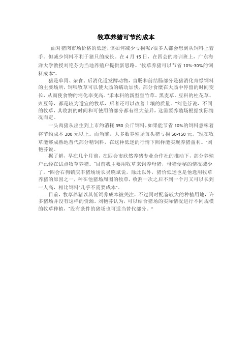 牧草养猪可节约成本