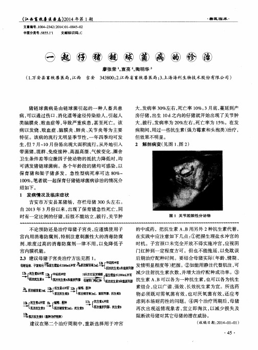 一起仔猪链球菌病的诊治