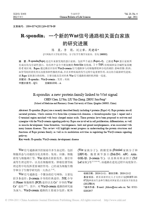 R_spondin_一个新的Wnt信号通路相关蛋白家族的研究进展_陈晨