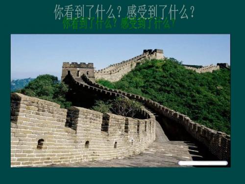 1、博大精深的传统文化