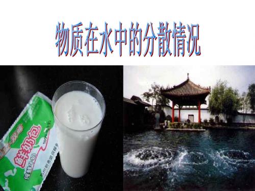 (201907)物质在水中的分散状况--浙教版