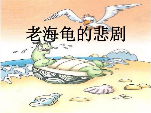 三年级语文上册第十一单元老海龟的悲剧PPT课件3长春版