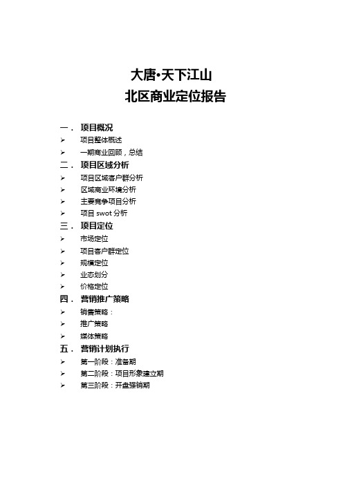 商业定位报告 (自动保存的)