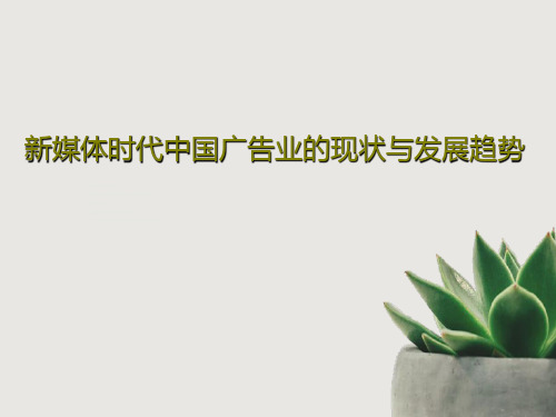新媒体时代中国广告业的现状与发展趋势共37页PPT