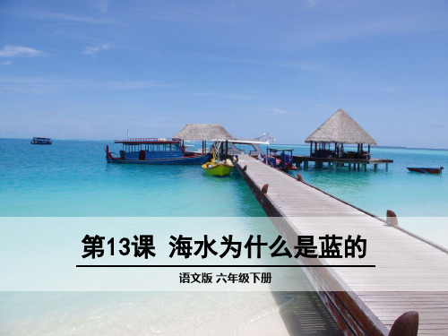 六年级下册语文课件-13 海水为什么是蓝的 语文S版(共35张PPT)