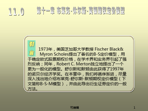 莫顿期权定价模型PPT课件