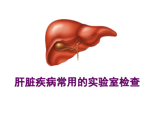 肝脏疾病常用的实验室检查ppt课件