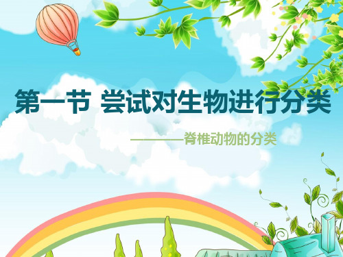 脊椎动物的分类