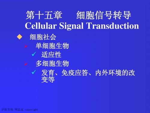 15章 细胞信号转导