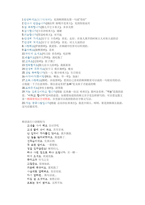 1安宁哈塞哟见到韩国朋友第一句说你好