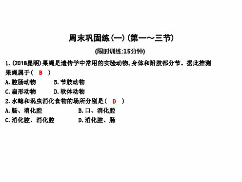 最新人教版八年级上册生物 周末巩固练(一)(第一～三节)