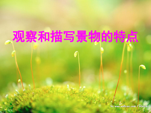 观察和描写景物的特点 作文课件