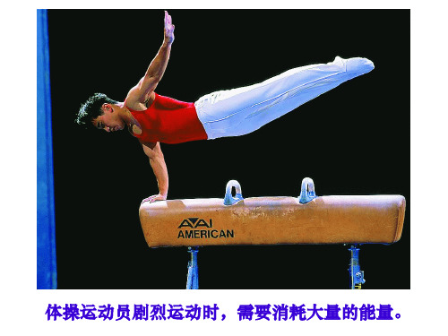5.10.5 人体能量的供给.ppt