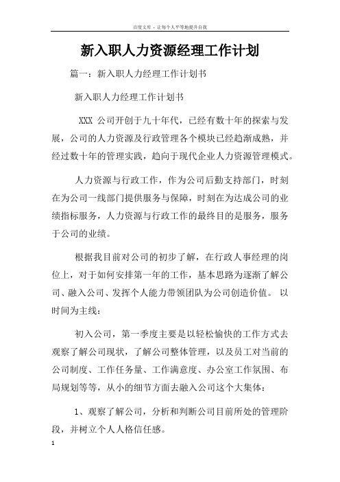 新入职人力资源经理工作计划