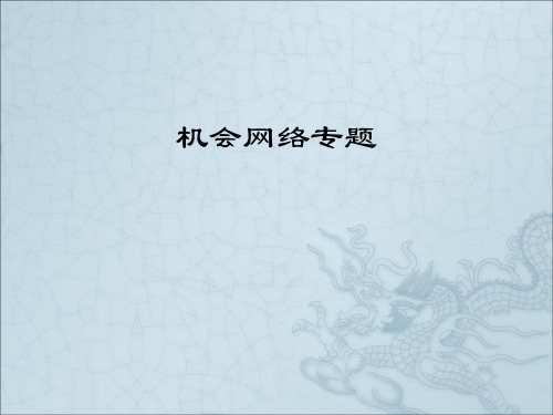 机会网络详细介绍