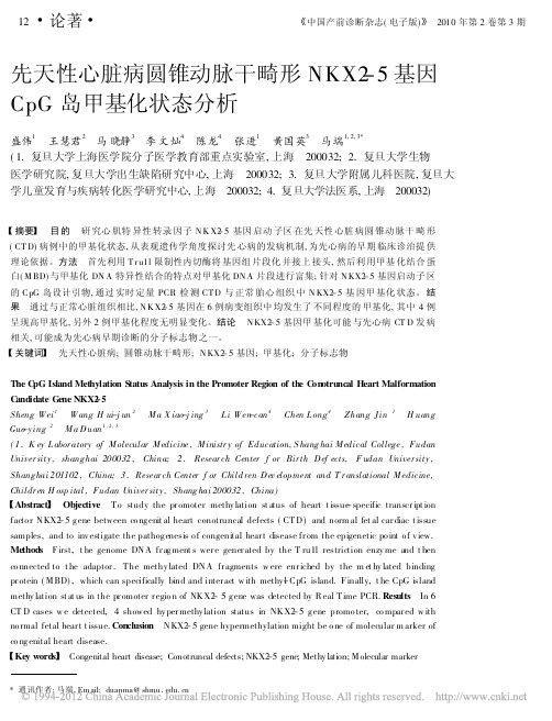2010先天性心脏病圆锥动脉干畸形NKX2_5基因CpG岛甲基化状态分析_盛伟