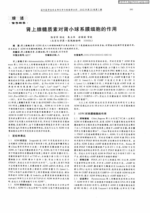 肾上腺髓质素对肾小球系膜细胞的作用