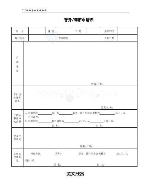 晋升调薪申请表_secret