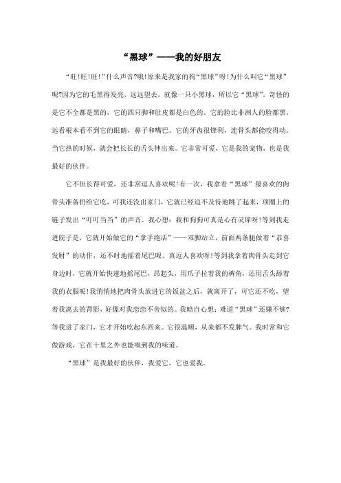 “黑球”——我的好朋友_小学四年级作文500字