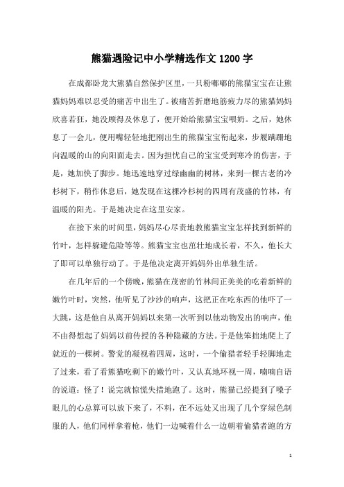 熊猫遇险记中小学精选作文1200字