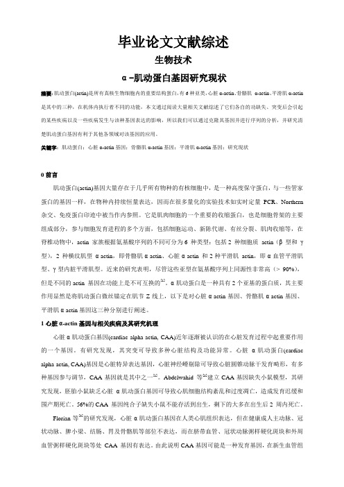 α-肌动蛋白基因研究现状【文献综述】