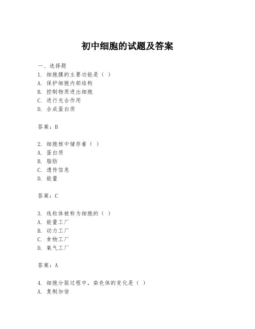 初中细胞的试题及答案