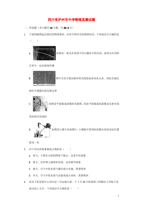 四川省泸州市中考物理真题试题(含解析)