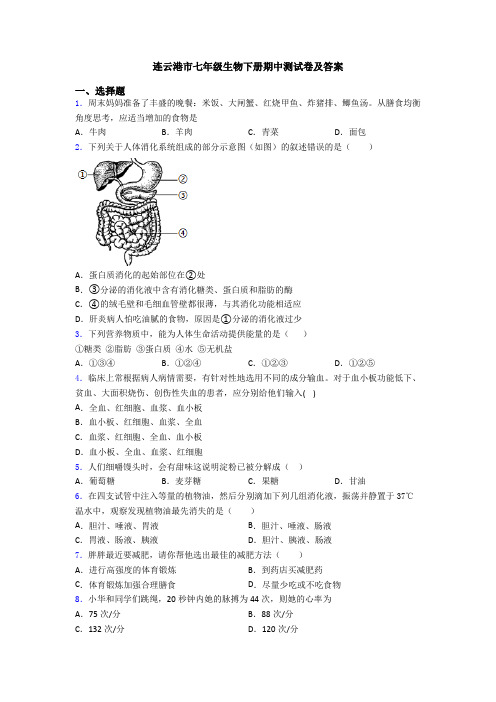 连云港市七年级生物下册期中测试卷及答案