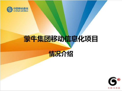 蒙牛移动信息化项目情况介绍v.PPT课件