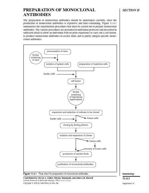 单克隆抗体制备 PREPARATION OF MONOCLONAL ANTIBODIES