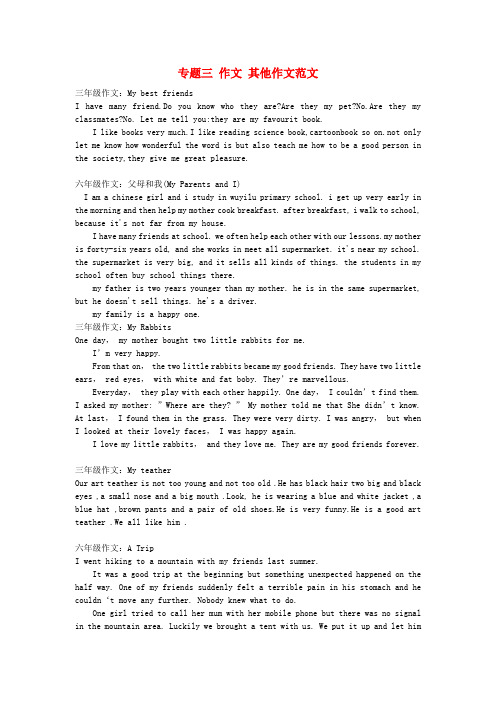 2020小升初英语知识点专项复习 专题三 作文 其他作文范文