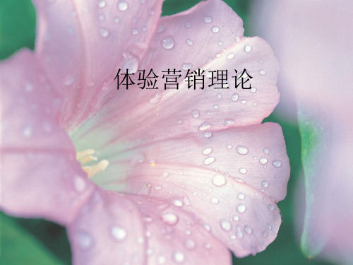 体验营销ppt模板