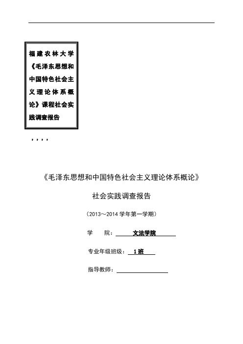 大学毛概实践报告