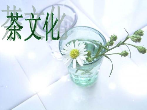 茶文化小报(马婷婷)